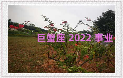 巨蟹座 2022 事业